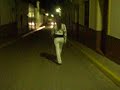 vaya borracheraa