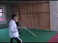 david cheung seminar in sebia dragon pole, private lesson with mastr dusan radojkovic