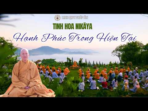 Tinh Hoa NIKAYA - Hạnh Phúc Trong Hiện Tại