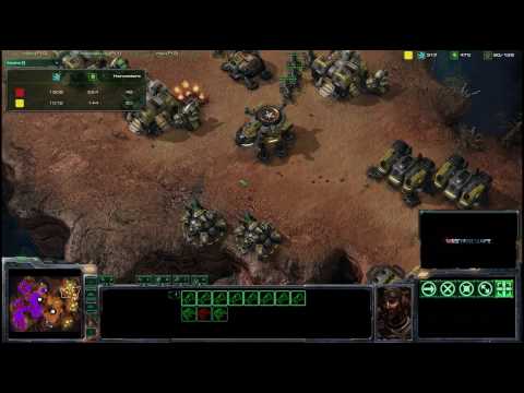 Sc2+painuser