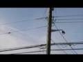 Air Pollution Feb 4 09 Chemtrails in Fraser Valley