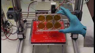Spanish researchers develop a 3D printer that can create human skin