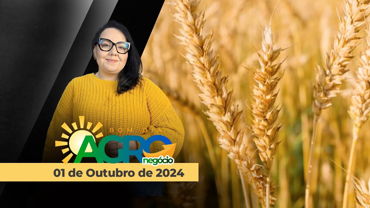 Bom dia Agro 01/10/24 - MERCADO DO TRIGO