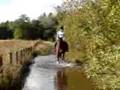 alix n strider on a hack