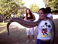 MATULA TV • Cobra asiática em Bonito