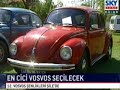 En Cici Vosvos Yar??mas? En Cici Vosvos Yar??mas?