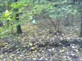 MOV00041.3gp MOV00041.3gp