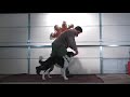 5 Minutes of Peace: Backwards Back Weave Session 1