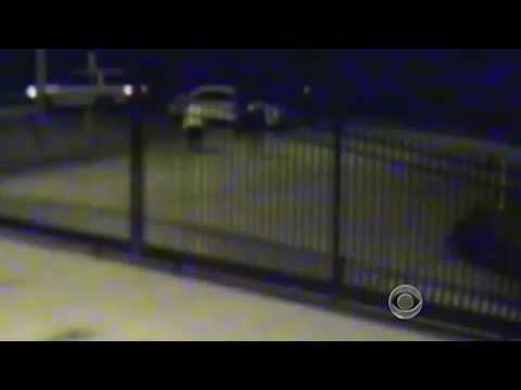 Fake car accidents driving insurance prices up