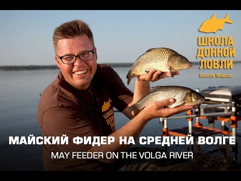 май фидер май фидер