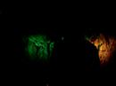 emptypeople - bizarreries cubiques -