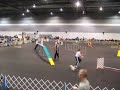 Rose City Classic Standard Agility Course