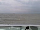 Day Three HOW2fish.net Walleye Tournament Blooper