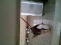 @briansinmapa13 [Posted with qTweeter http://qtweeter.com]