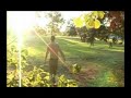 Disc Golf - Sean Gough - Greenville, NC Disc Golf - Sean Gough - Greenville, NC