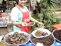 Shopping for Bugs to Eat in Thailand