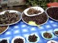 Shopping for Bugs to Eat in Thailand