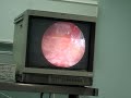 Stage Chirurgie est�tique