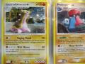 My 370 Lv. X, ex, and Holographic Pokemon Collection Pt. 1