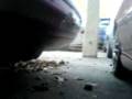 bmw e36 328i coupe stock exhaust