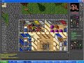 Tibia Antica