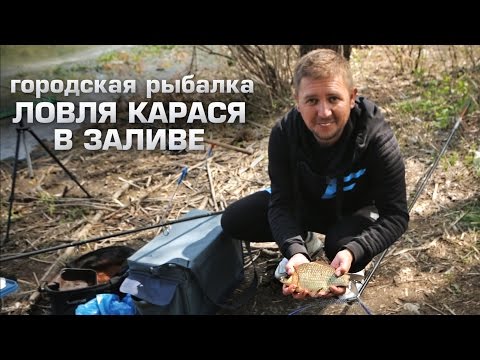карась на хлеб и укроп видео карась на хлеб и укроп видео