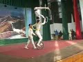 wuqiao monociclo acrobatas