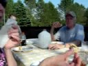 4th of July Campout and Picnic 2008