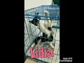 Lidia