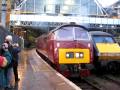 D1015 Western Champion leaving KX on the 'White Rose' railtour