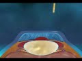 Lasik Lasik