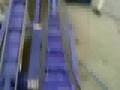 My double loop roller coaster ride