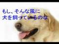 ダメ犬をたったの２秒で賢いワンちゃんに変身させる犬のしつけ方法