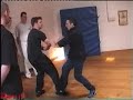 jeet kune do