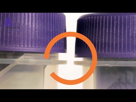MACS Facts: How to install a gentleMACS™ Tube for tissue preparation