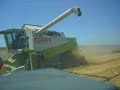 Moisson 2008 avec Claas et Fendt
