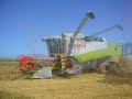 Moisson 2008 avec Claas et Fendt