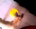globus d�ERPV.... dona joc!!!
