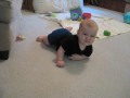 armycrawl