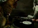 My CAT