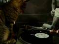 My CAT　ＤＪ　ＣＨＩＲＯ　par1