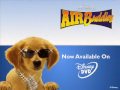 air buddies air buddies