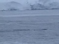 Antarctic Journey
