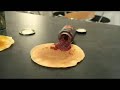 Pancakes for your Face