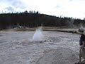Plume Geyser - Yellowstone Plume Geyser - Yellowstone