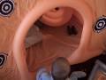videos de VID00013