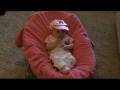 videos de Marin in her husker outfit