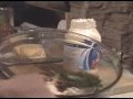 How To Make Chicken Salad How To Make Chicken Salad