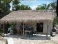 videos de Playa del Carmen Viva Mexico