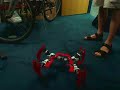 Chiara Walking Pelvis: Rear Legs Test